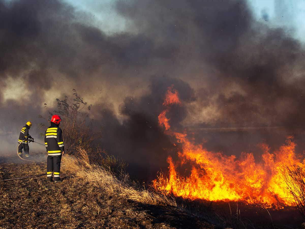 ZENOVA WB Wildfire Barrier